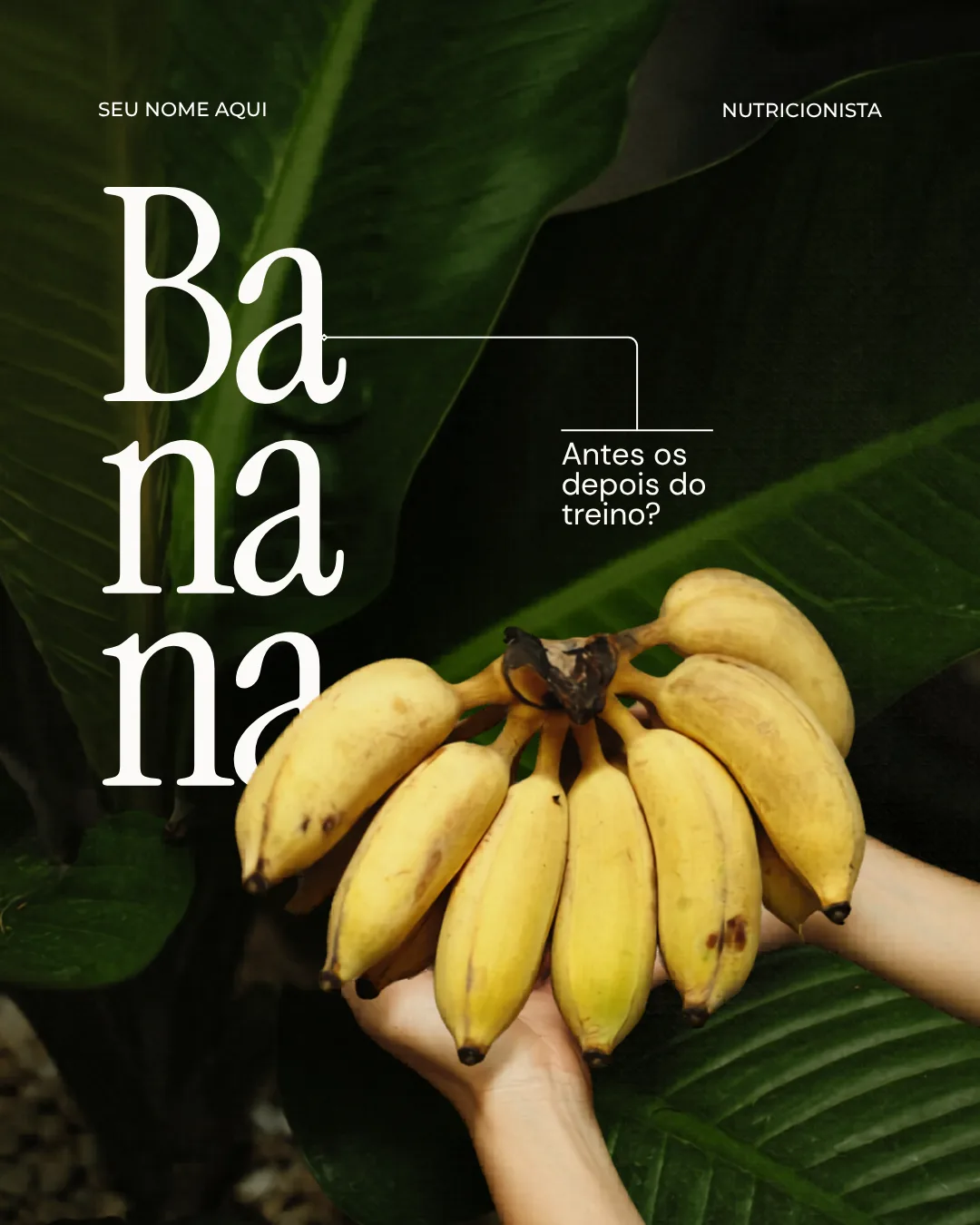 Novo Template Nutri 5